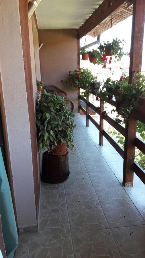 Hotel Casa Elena Ieşelniţa Exteriér fotografie