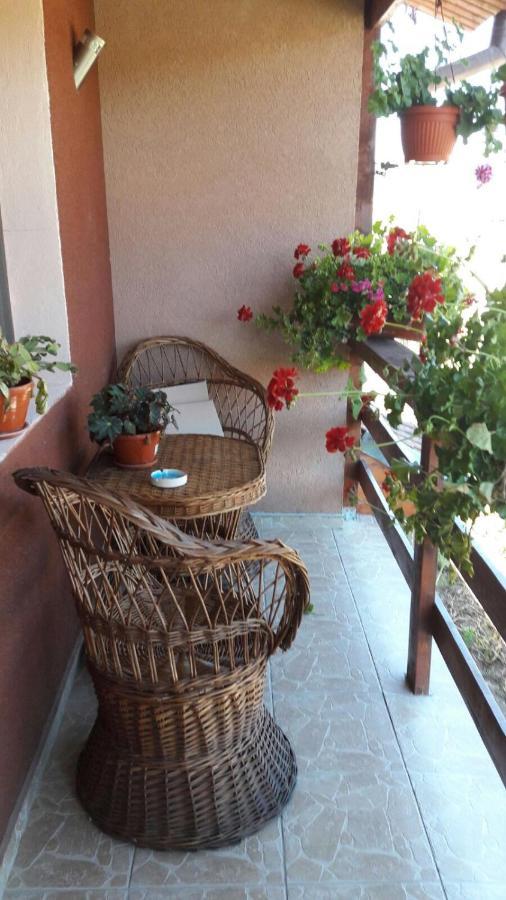 Hotel Casa Elena Ieşelniţa Exteriér fotografie
