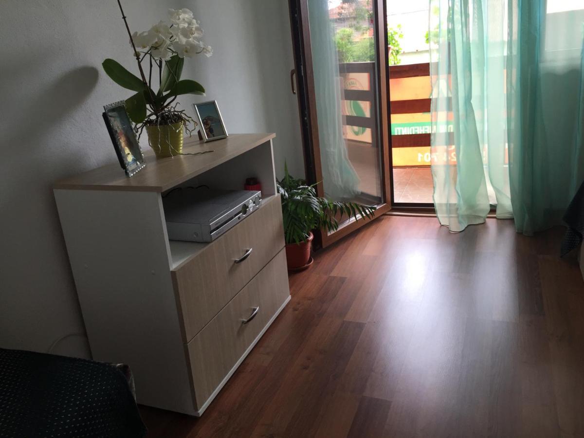 Hotel Casa Elena Ieşelniţa Exteriér fotografie