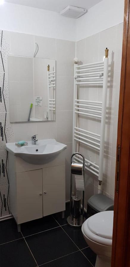 Hotel Casa Elena Ieşelniţa Exteriér fotografie