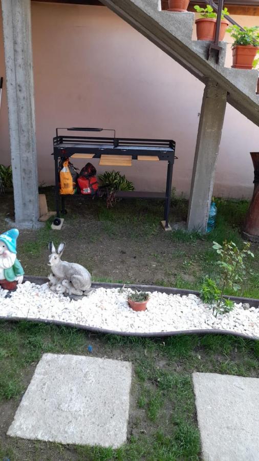 Hotel Casa Elena Ieşelniţa Exteriér fotografie
