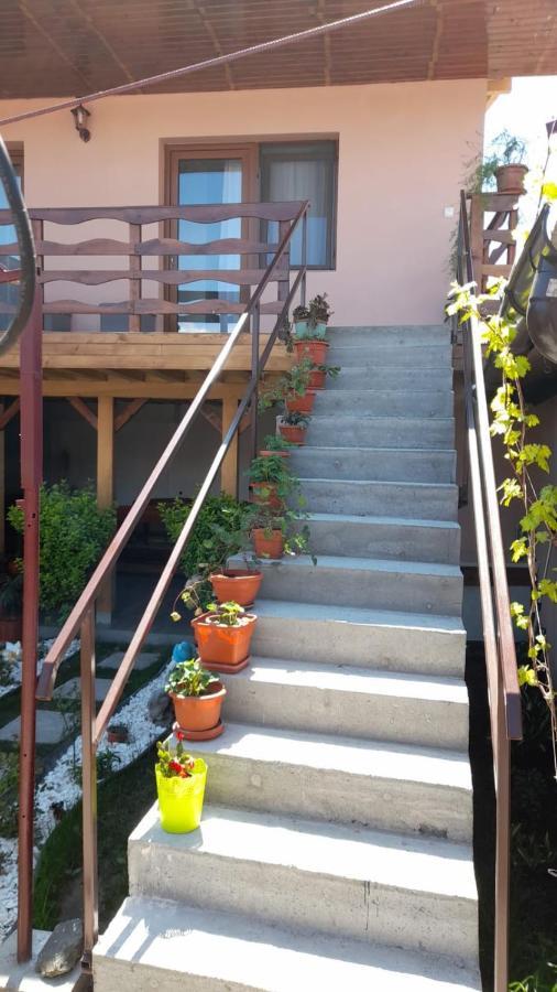 Hotel Casa Elena Ieşelniţa Exteriér fotografie