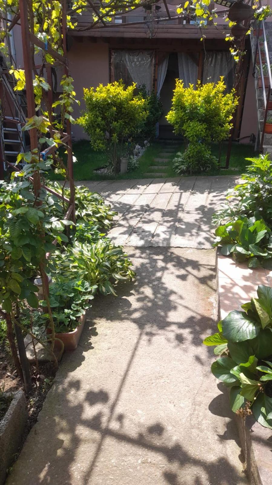 Hotel Casa Elena Ieşelniţa Exteriér fotografie