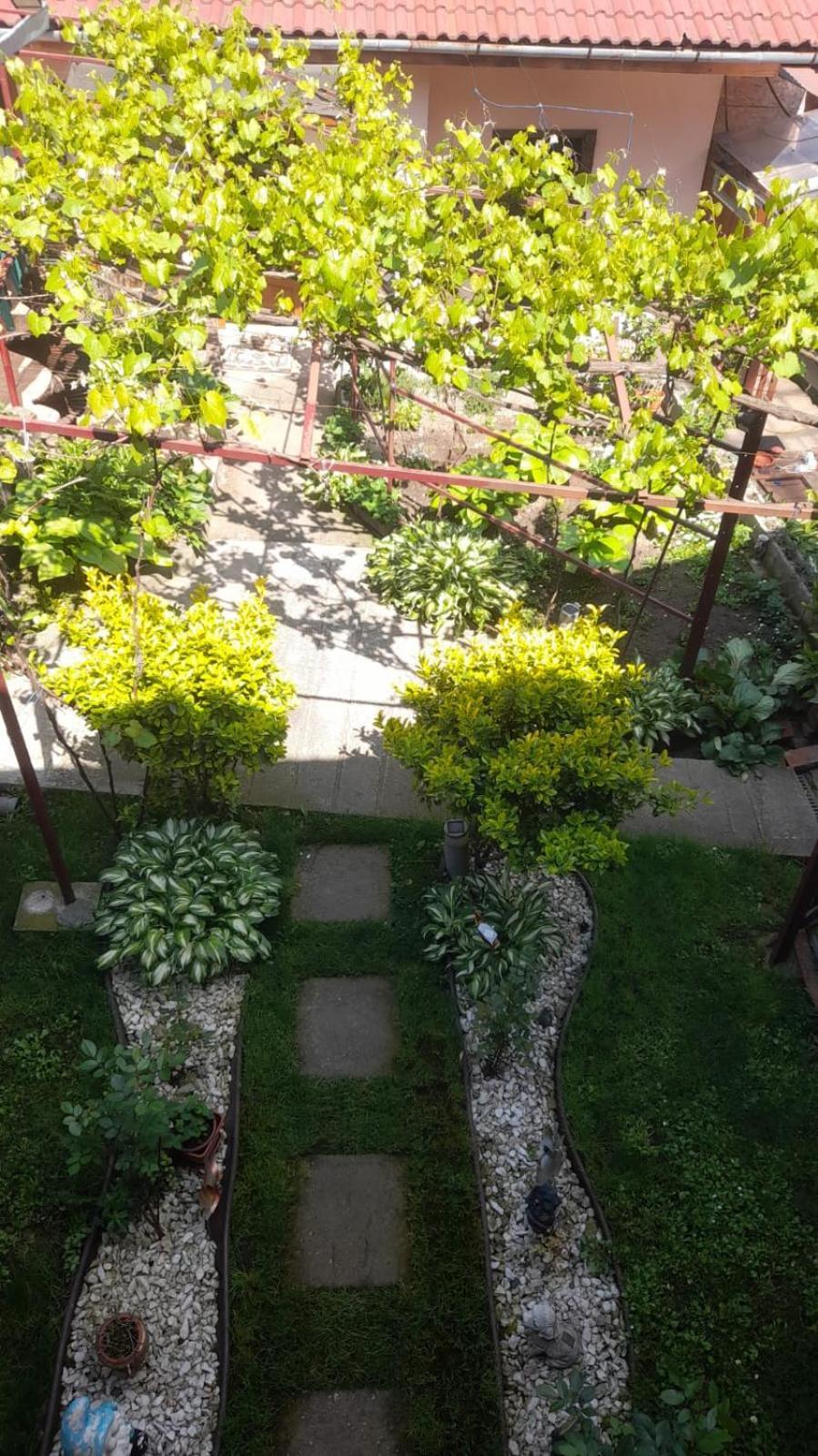 Hotel Casa Elena Ieşelniţa Exteriér fotografie