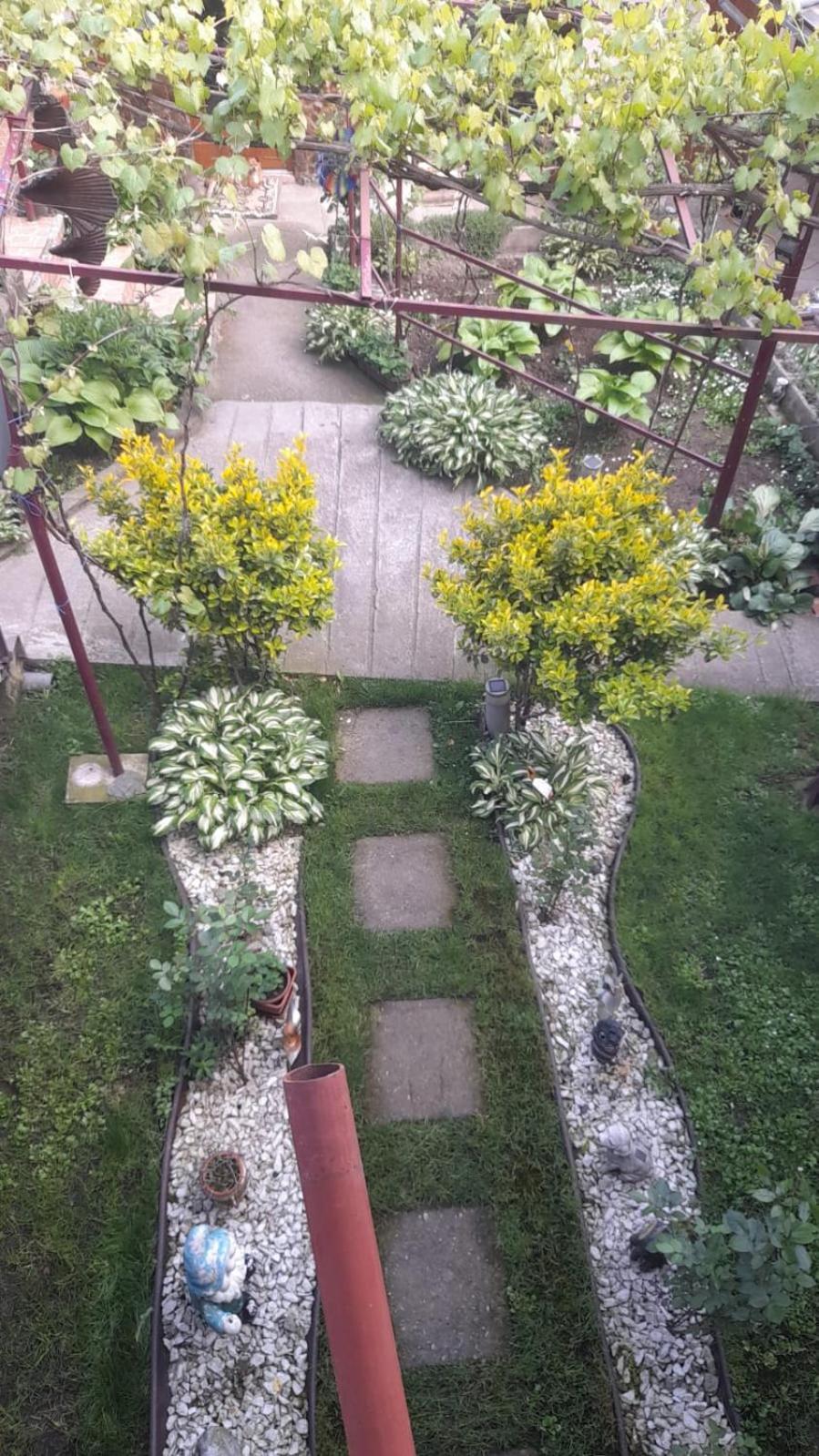 Hotel Casa Elena Ieşelniţa Exteriér fotografie